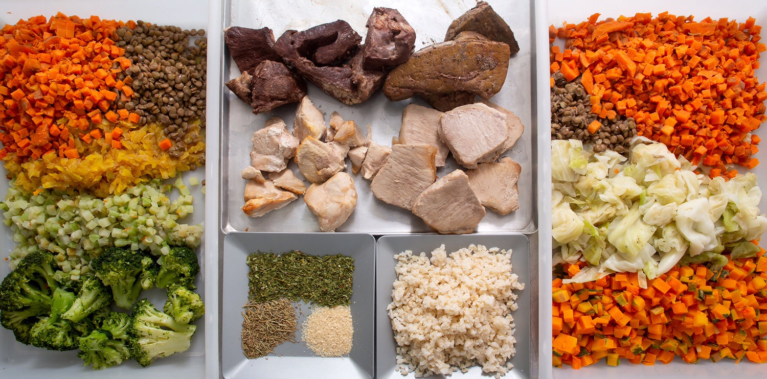 NinoFood Escondidinho de Frango Sênior 1kg