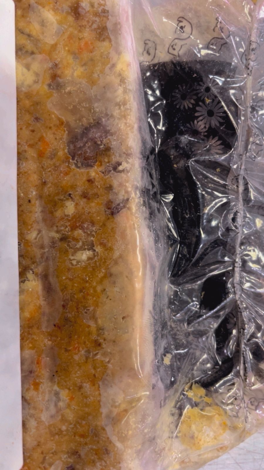 Kit NinoFood Gatos 2kg